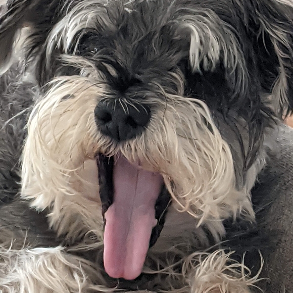 Meet your Posher, Terry - Picture 2 of 2